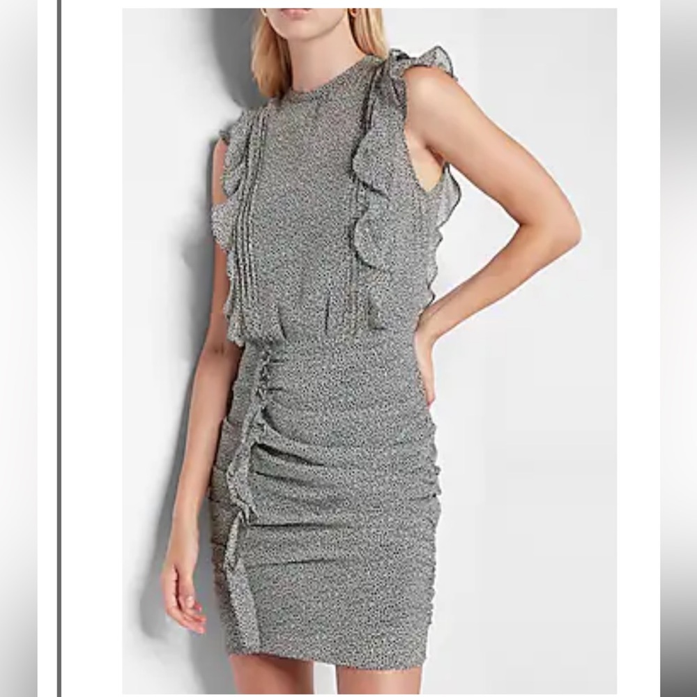 Express Ruffled Dress